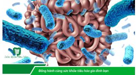 CÁC YẾU TỐ ẢNH HƯỞNG ĐẾN SỰ SỐNG CỦA MEN VI SINH PROBIOTICS TRONG SẢN PHẨM & TRONG CƠ THỂ