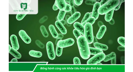 CHẾ PHẨM MEN VI SINH PROBIOTICS VÀ THỰC PHẨM CÓ PROBIOTICS, LOẠI NÀO TỐT HƠN?