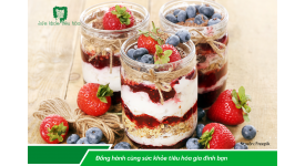 NHỮNG THỰC PHẨM GIÀU MEN VI SINH CÓ LỢI CHO TIÊU HÓA