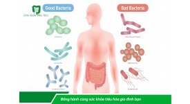 10 QUAN NIỆM SAI LẦM VỀ PROBIOTICS