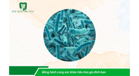 9 LỢI ÍCH CHO SỨC KHỎE CỦA LACTOBACILLUS ACIDOPHILUS