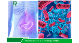 VAI TRÒ HỆ VI KHUẨN ĐƯỜNG RUỘT TRONG BẢO VỆ SỨC KHỎE CON NGƯỜI