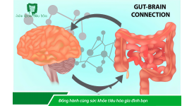 MEN VI SINH ẢNH HƯỞNG ĐẾN NÃO NHƯ THẾ NÀO & VAI TRÒ CỦA MEN VI SINH  ĐỐI VỚI CÁC BỆNH THẦN KINH