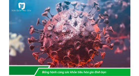 MEN VI SINH PROBIOTICS TĂNG SỨC ĐỀ KHÁNG CƠ THỂ PHÒNG NGỪA LÂY NHIỄM COVID -19