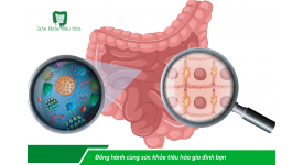 ĐƯỜNG RUỘT “NHẠY CẢM”