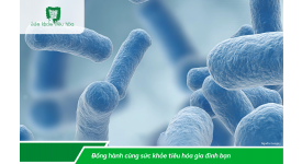 CÁCH SỬ DỤNG PHỐI HỢP KHÁNG SINH & MEN VI SINH PROBIOTICS