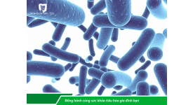 CÂU CHUYỆN VỀ MEN VI SINH (PROBIOTICS)