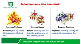 NHỮNG TRÁI CÂY THÔNG DỤNG TRONG NƯỚC CHỨA MEN TIÊU HÓA TỰ NHIÊN