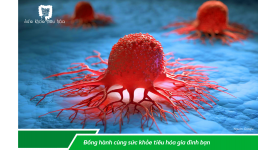 NHỮNG TÁC ĐỘNG CỦA MEN VI SINH PROBIOTICS LÊN HỆ MIỄN DỊCH GIÚP CHÚNG TA CHỐNG NHIỄM TRÙNG