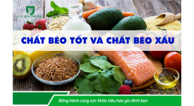 CHẤT BÉO TỐT VÀ CHẤT BÉO XẤU