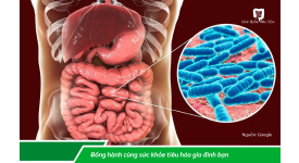 HỆ VI SINH & SỨC KHỎE TÂM THẦN