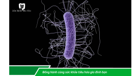 HỆ VI SINH CẢI THIỆN SỨC KHỎE BẠN NHƯ THẾ NÀO?