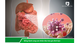 ĐÁNH MẤT HỆ VI SINH – CHÚNG TA CÓ THỂ ĐÃ MẤT MỘT ĐỒNG MINH RẤT XƯA NHƯ THẾ NÀO!