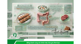 THỰC PHẨM CÓ THỂ GÂY UNG THƯ DO CHẾ BIẾN VÀ BẢO QUẢN KÉM
